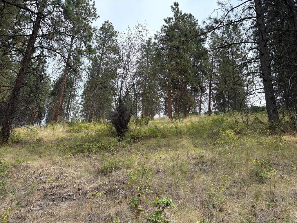 









4491


Hebbert

Road,
Lake Country,




BC
V4V 2A8


