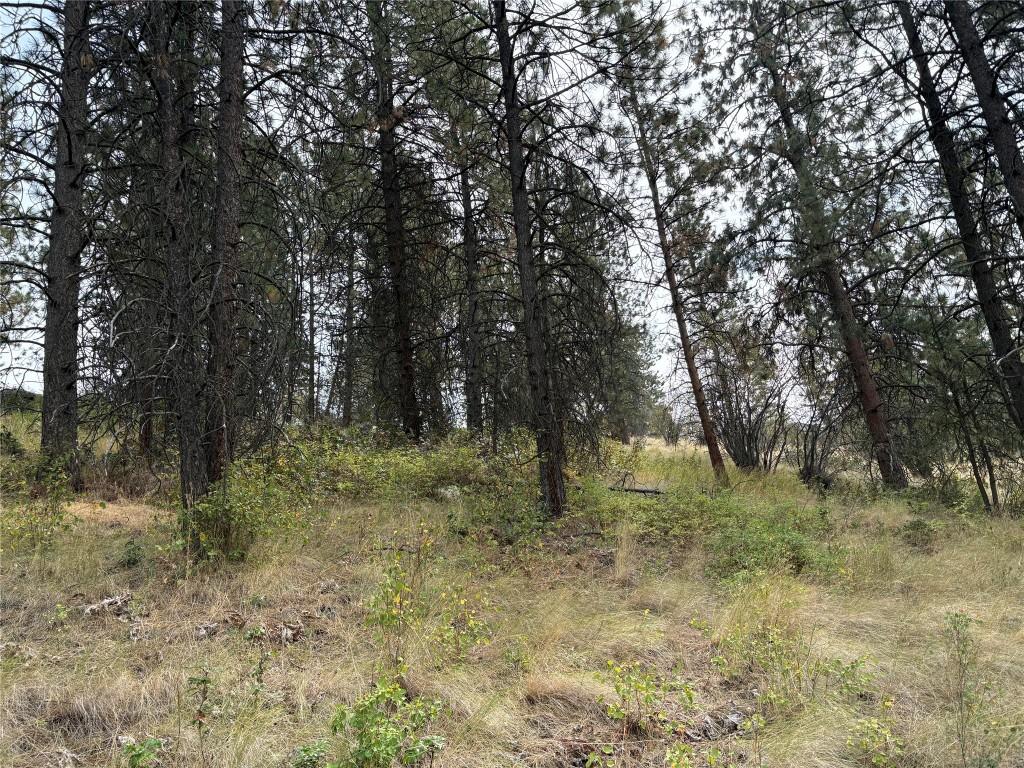 









4491


Hebbert

Road,
Lake Country,




BC
V4V 2A8

