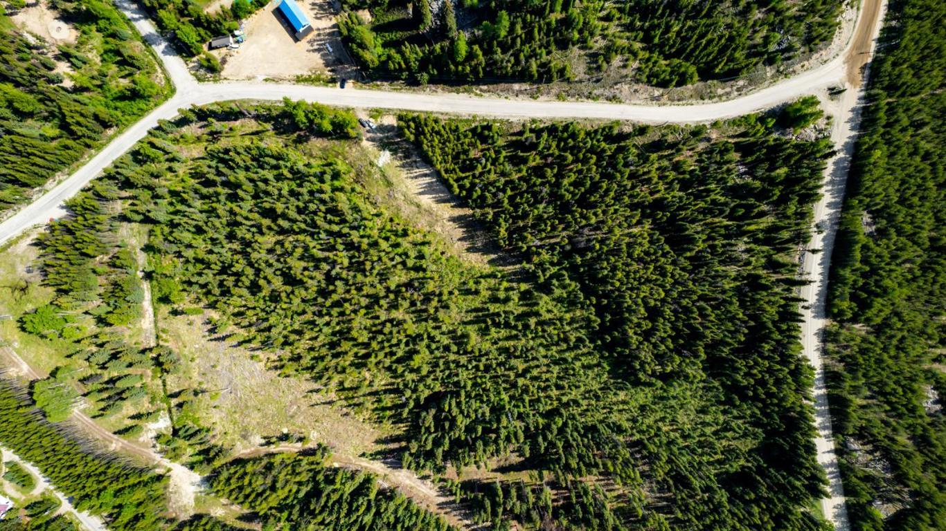 









Lot #3


Paradise

Road,
Joe Rich,







BC
V1P 1K4

