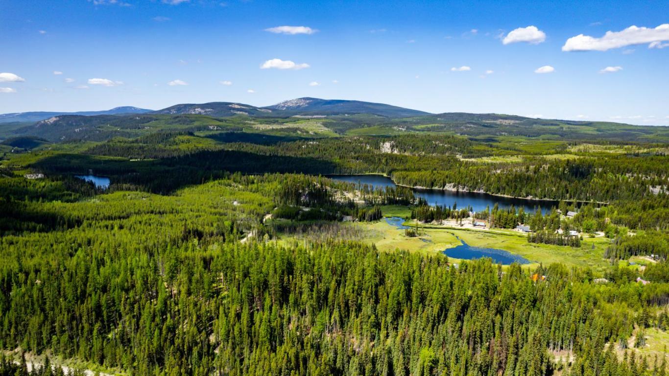 









Lot #2


Paradise

Road,
Joe Rich,







BC
V1P 1K4

