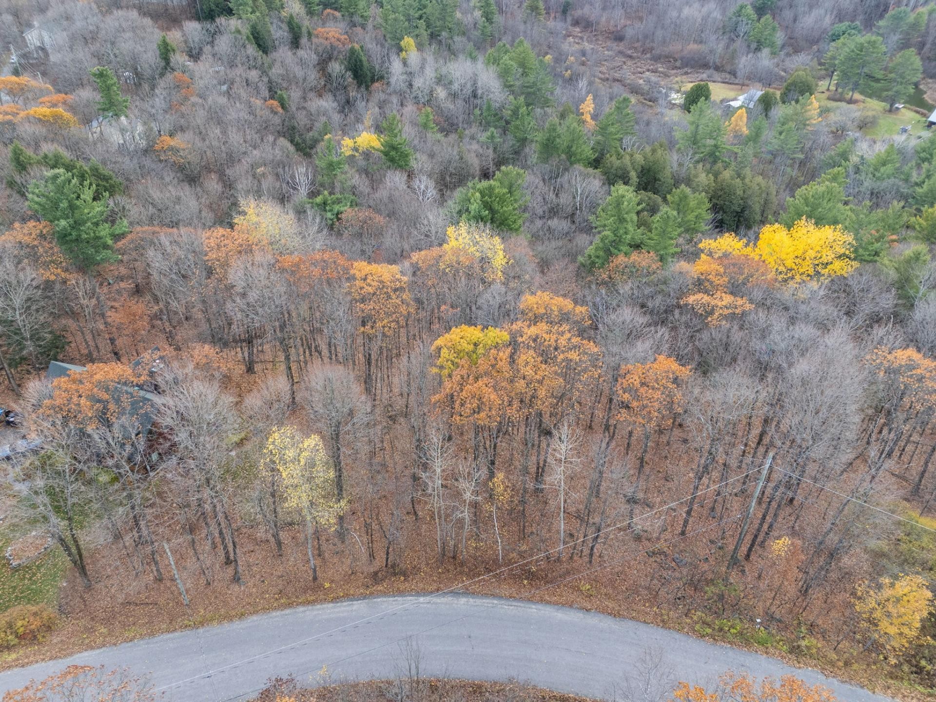 









7


Rue Degas

,
Cantley,







QC
J8V3L6

