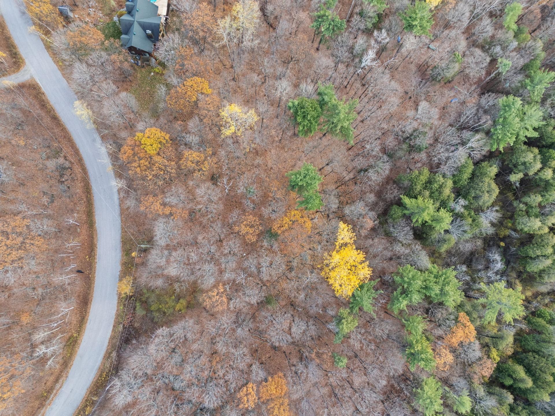 









7


Rue Degas

,
Cantley,







QC
J8V3L6

