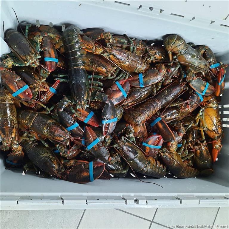 









26


Bridge

ST,
Sackville,




NB
E4L 3N5

