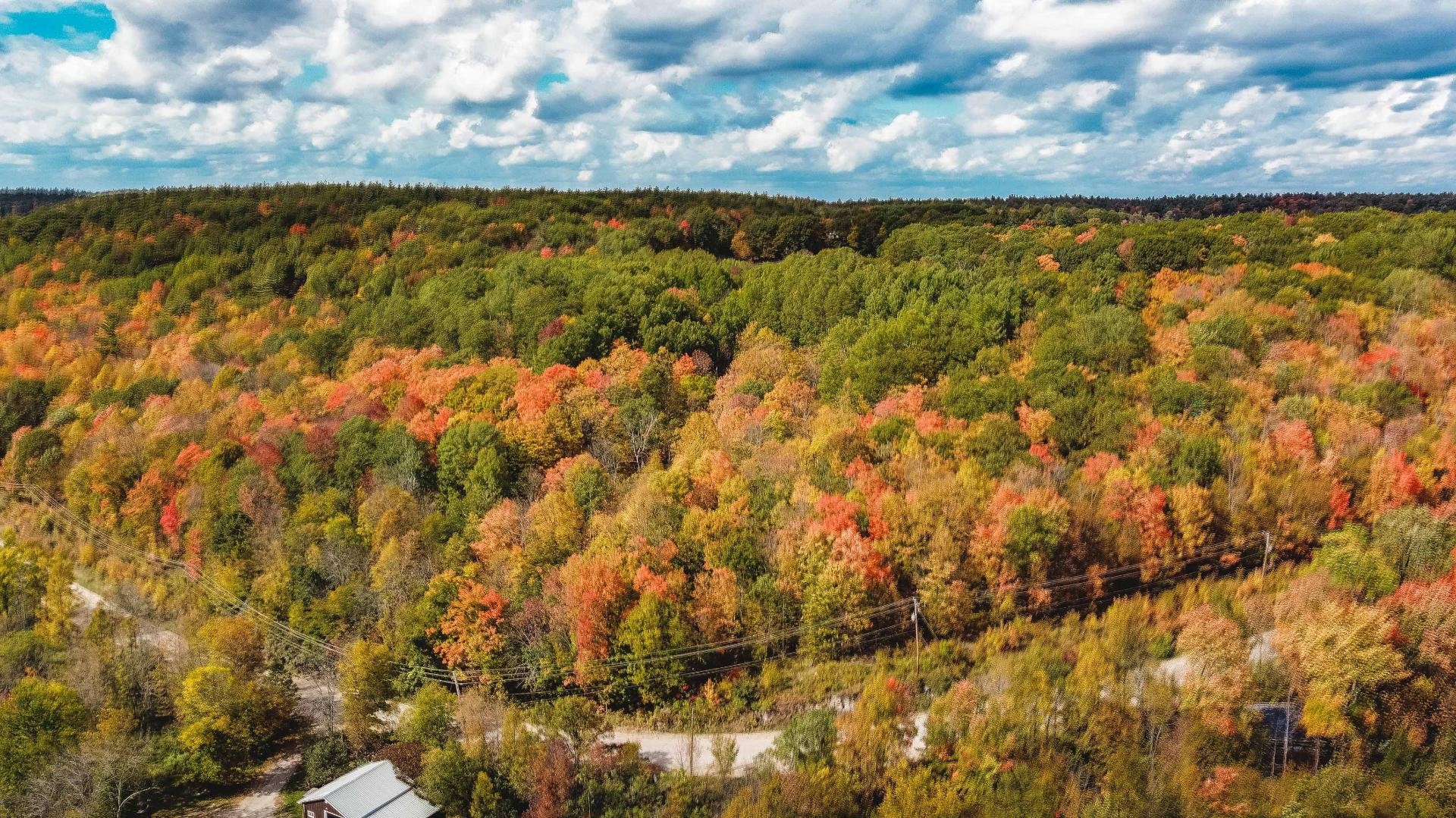 









106B


Ch. de la Montagne

,
L'Île-du-Grand-Calumet,




QC
J0X1J0

