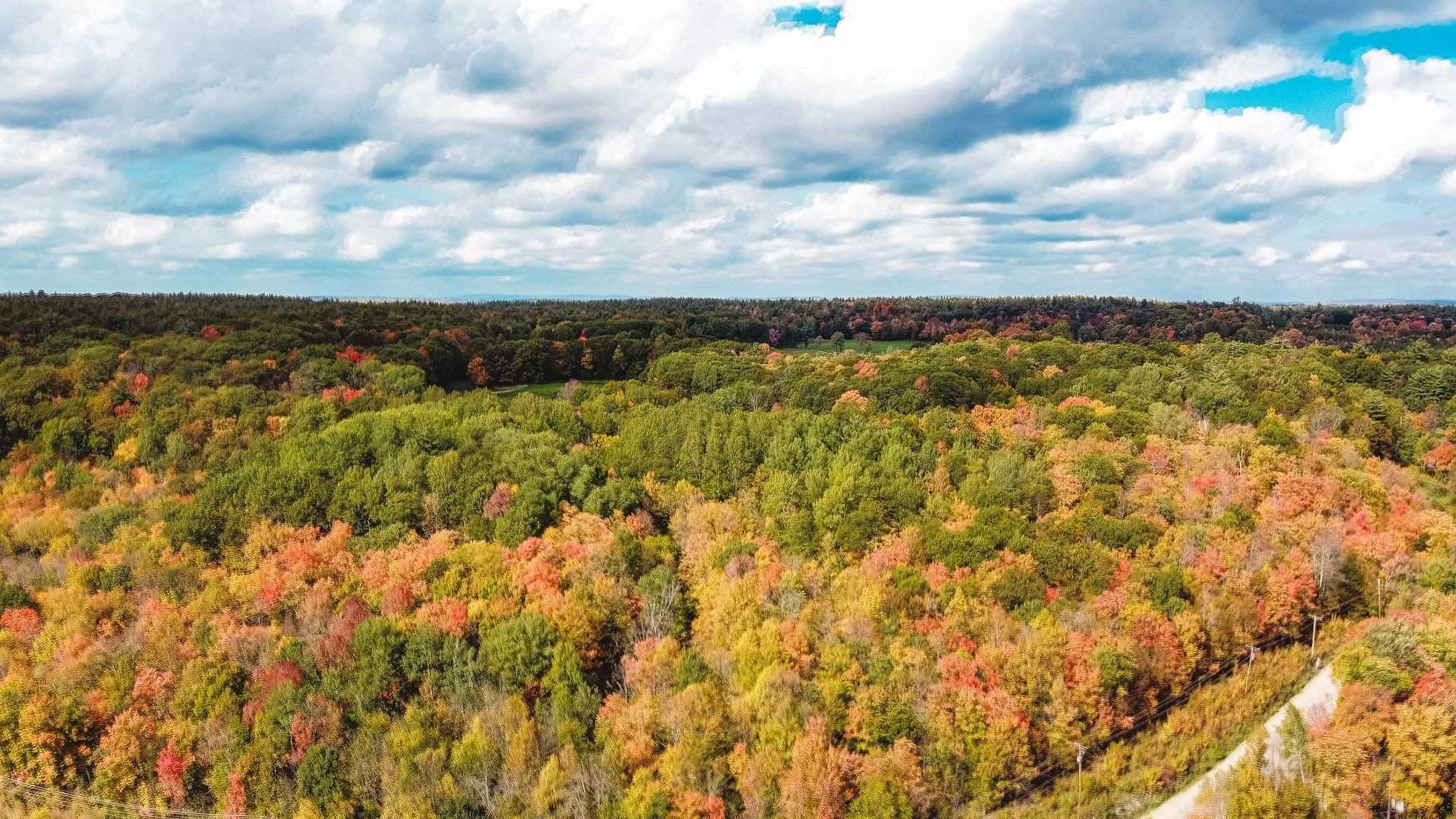 









106B


Ch. de la Montagne

,
L'Île-du-Grand-Calumet,




QC
J0X1J0

