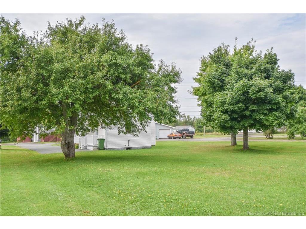 









310


JD Gauthier

BLVD,
Shippagan,




NB
E8S 1R4

