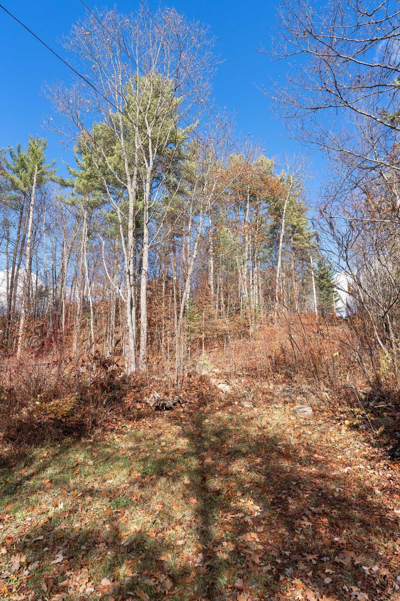 









54


Ch. Isok

,
Waltham,




QC
J0X1M0

