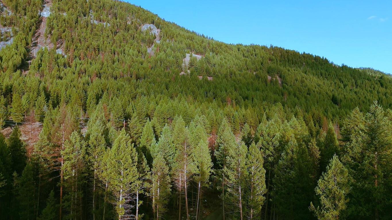 









55


Beacon

Road,
Carmi,







BC
V0H 1A0

