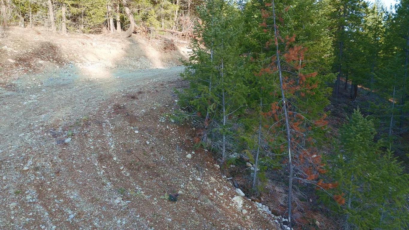 









55


Beacon

Road,
Carmi,







BC
V0H 1A0

