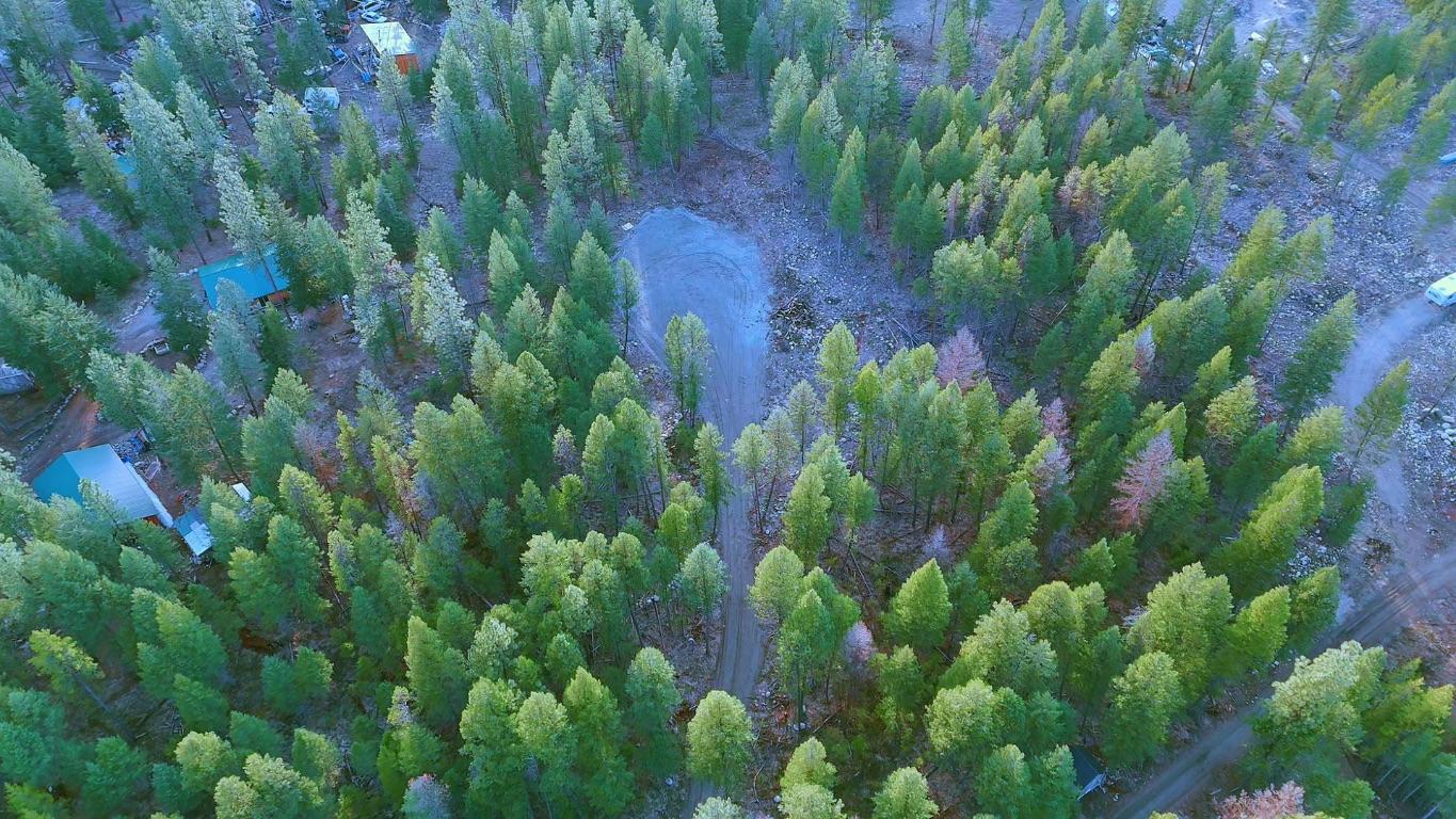 









55


Beacon

Road,
Carmi,







BC
V0H 1A0

