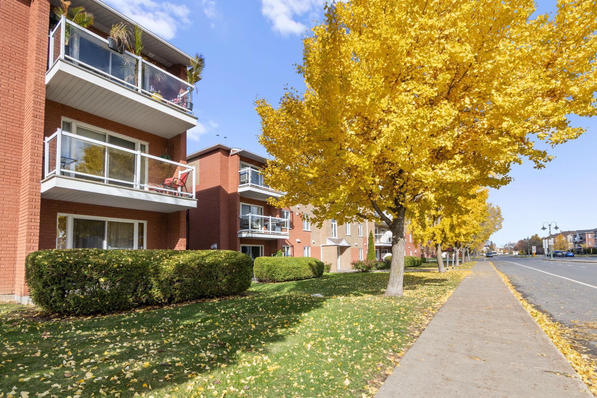 









2450


Boul. Jacques-Marcil

, 209,
Longueuil (Saint-Hubert),




QC
J3Y9A3

