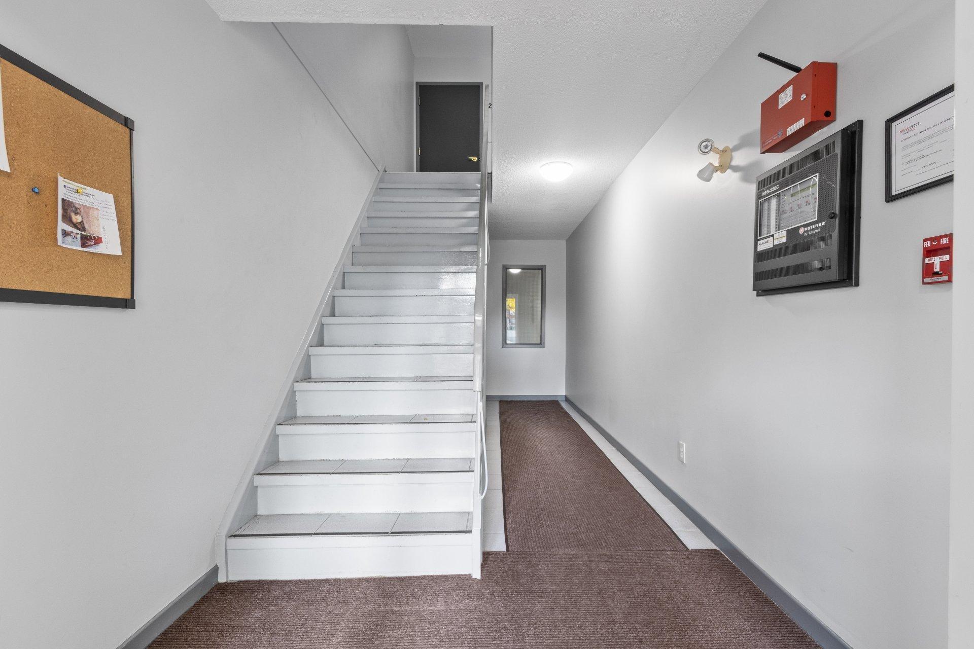 









2450


Boul. Jacques-Marcil

, 209,
Longueuil (Saint-Hubert),




QC
J3Y9A3

