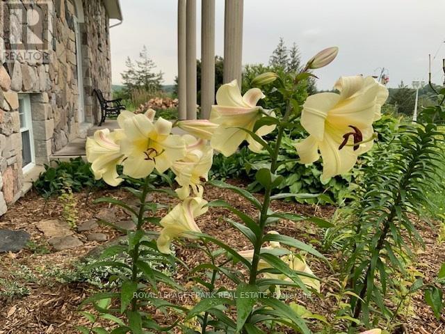 












3071 5TH LINE E

,
Trent Hills (Campbellford),




Ontario
K0L1L0

