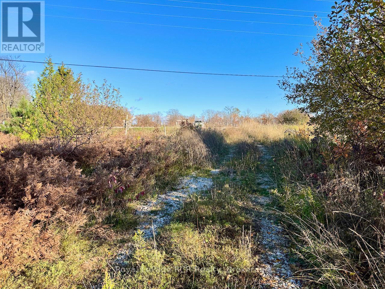 












4887 HWY 6 HIGHWAY

,
Northern Bruce Peninsula,







Ontario
N0H1Z0

