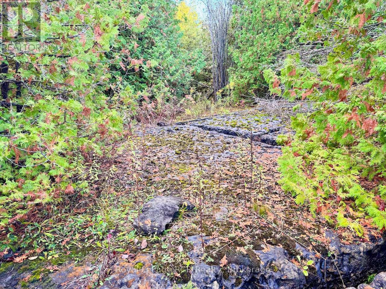 












4887 HWY 6 HIGHWAY

,
Northern Bruce Peninsula,







Ontario
N0H1Z0

