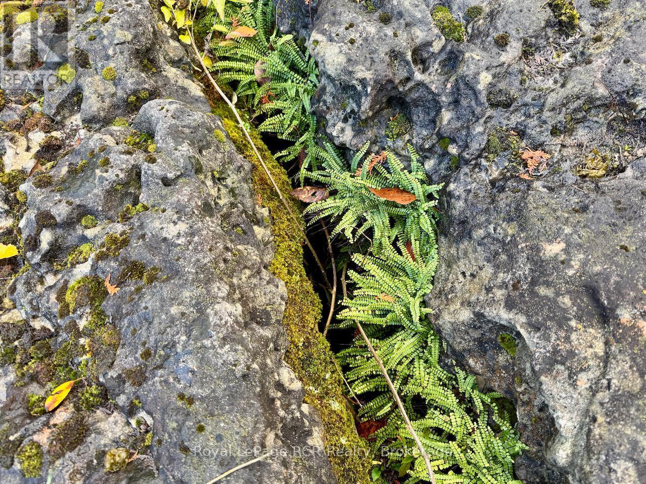 












4887 HWY 6 HIGHWAY

,
Northern Bruce Peninsula,







Ontario
N0H1Z0

