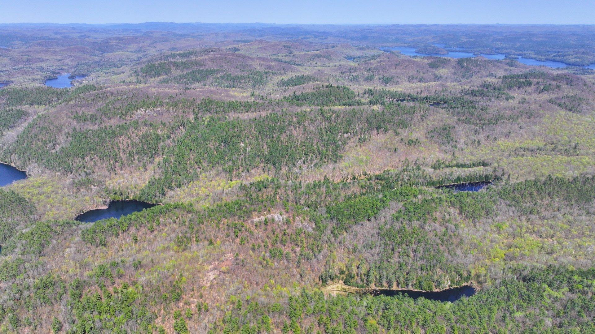 









173


Rue du Lac-Tranquille

,
Denholm,




QC
J8N9H1

