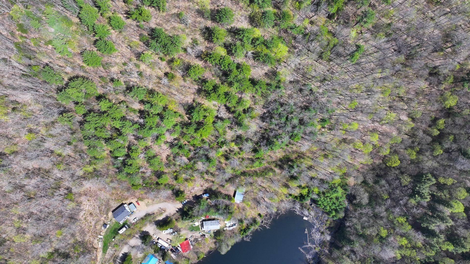 









173


Rue du Lac-Tranquille

,
Denholm,




QC
J8N9H1

