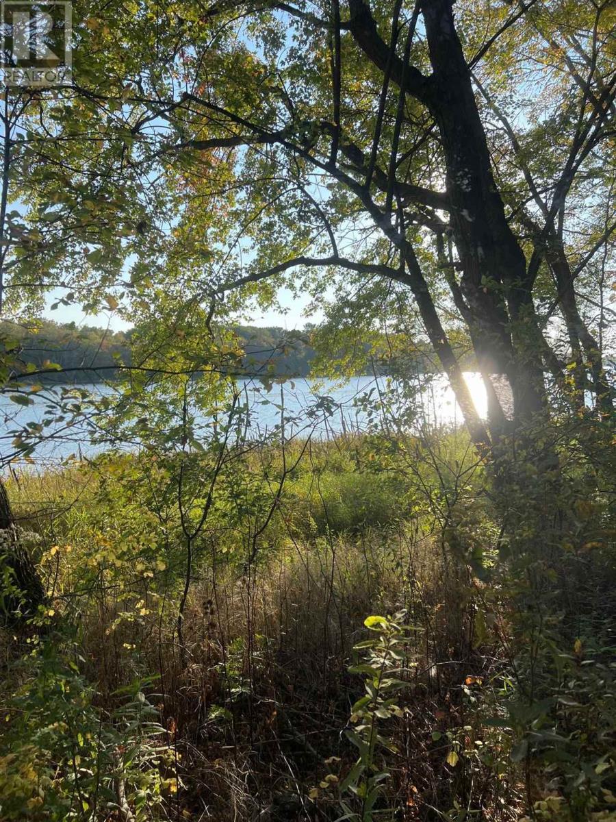 












. River RD

,
Walford,







Ontario
P0P2E0

