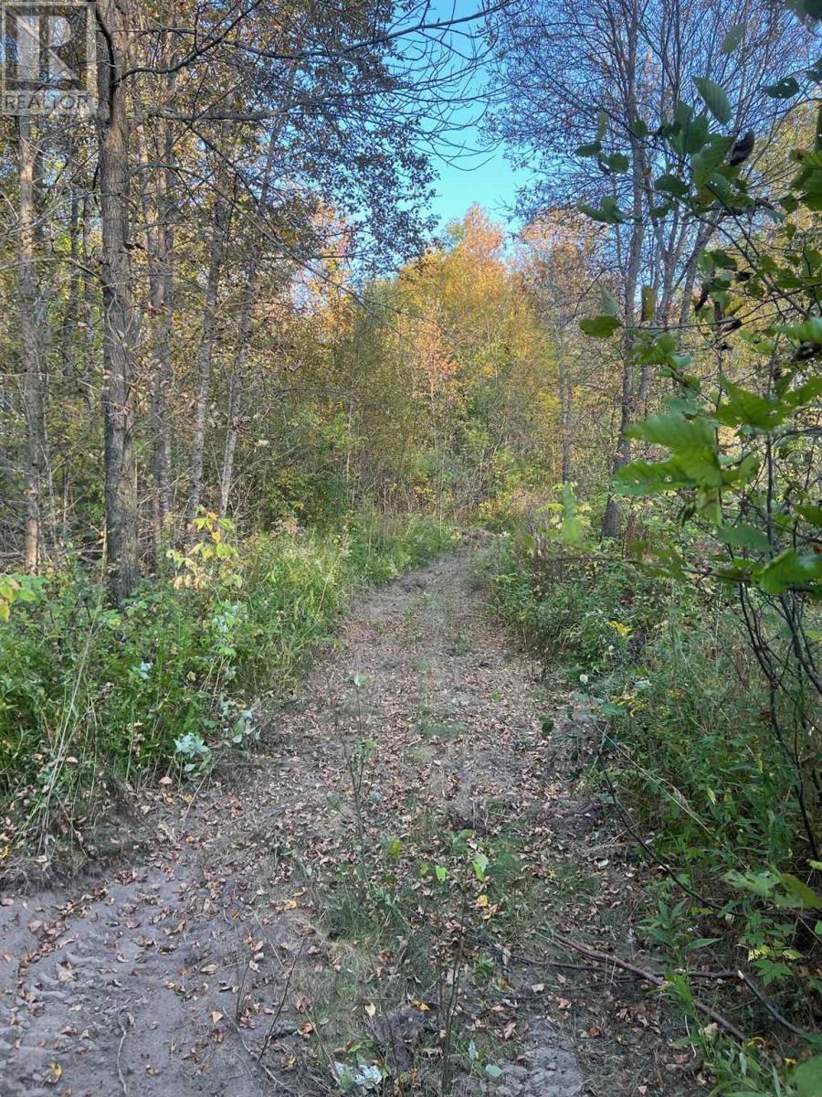 












. River RD

,
Walford,







Ontario
P0P2E0

