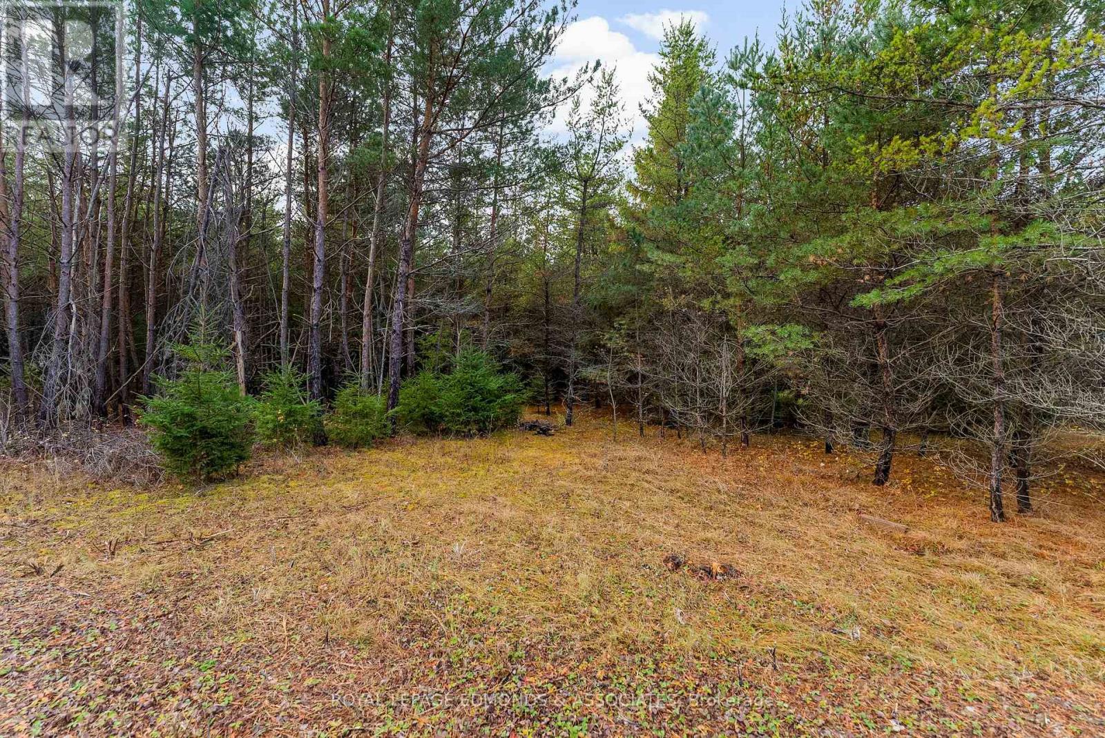 












939 BEACHBURG ROAD

,
Whitewater Region,







Ontario
K0J1C0

