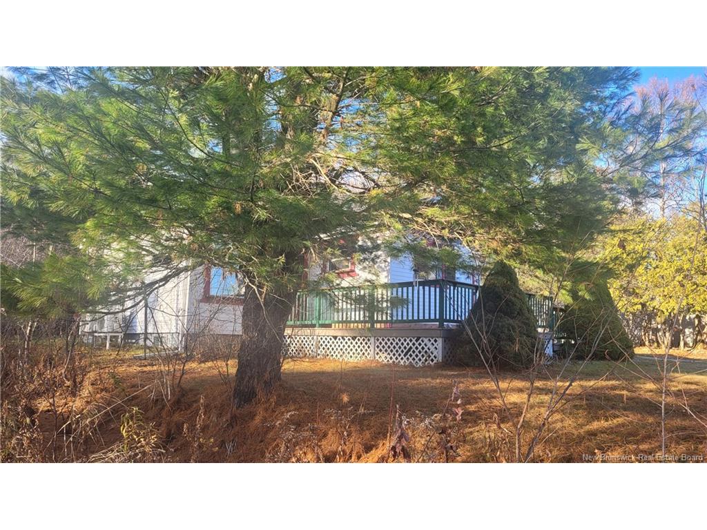 









7


Hillcrest

,
Blackville,




NB
E9B 1S5

