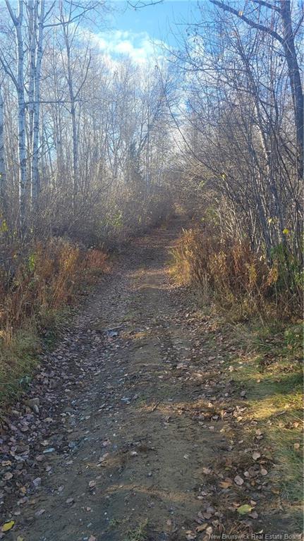 









7


Hillcrest

,
Blackville,




NB
E9B 1S5

