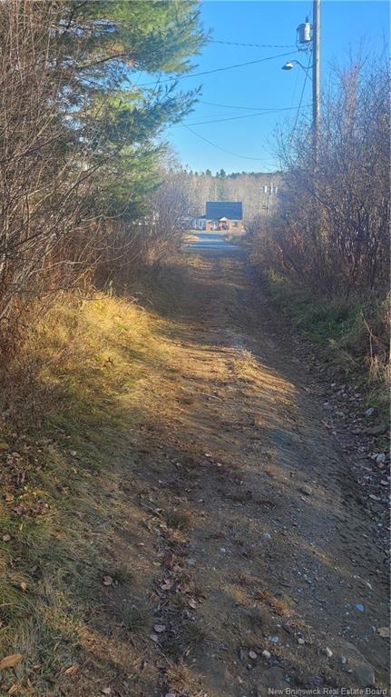 









7


Hillcrest

,
Blackville,




NB
E9B 1S5

