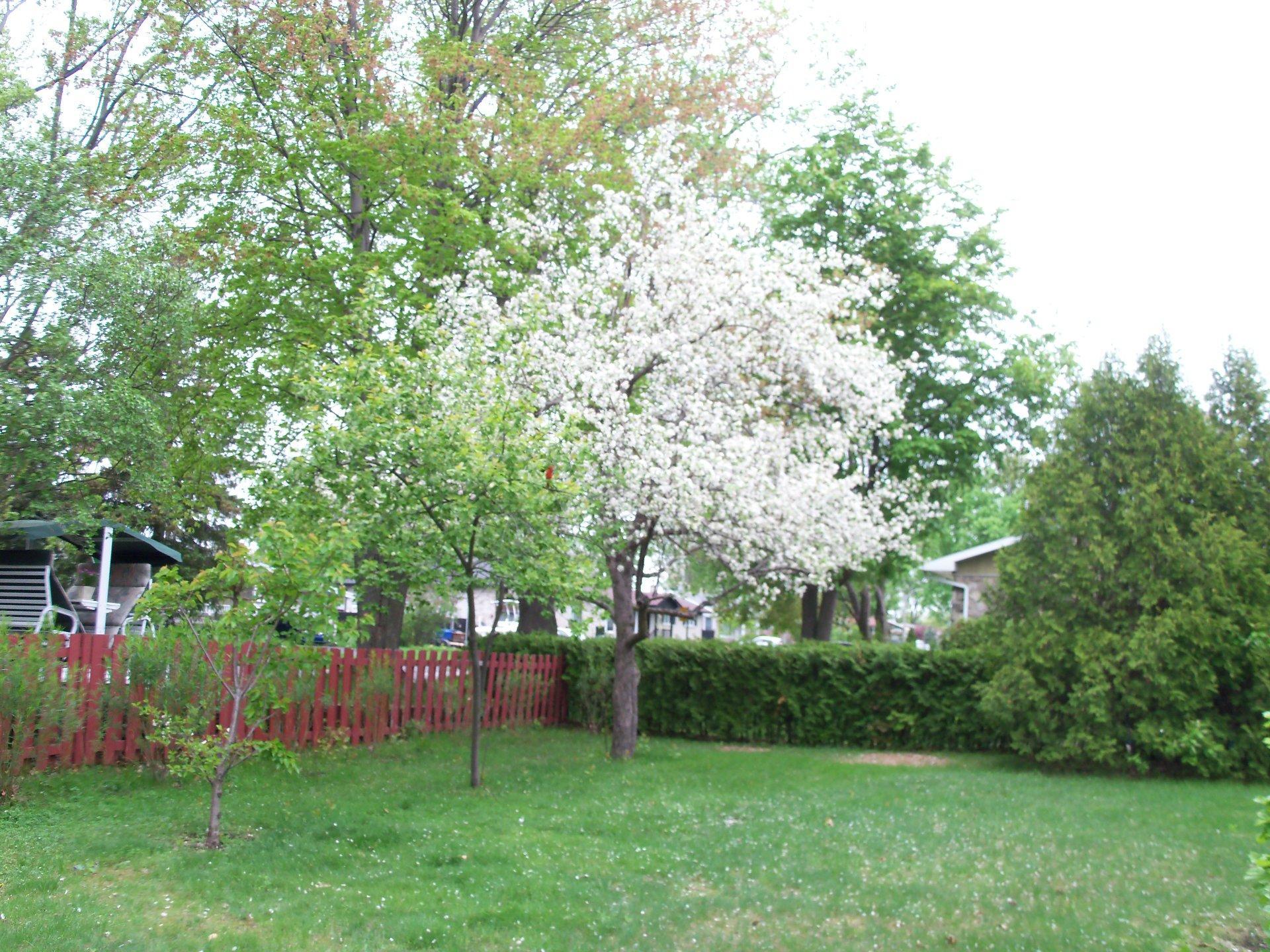 









5595


Ch. St-Roch

,
Sorel-Tracy,




QC
J3R3M6

