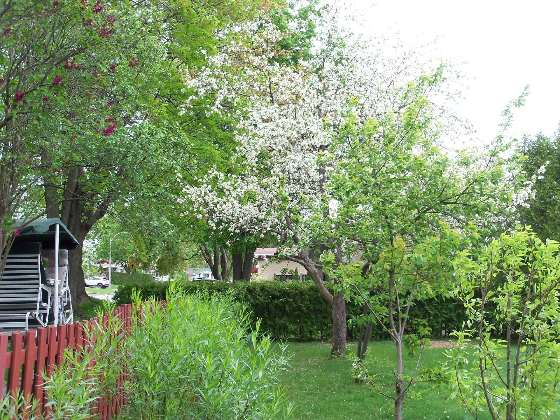 









5595


Ch. St-Roch

,
Sorel-Tracy,




QC
J3R3M6

