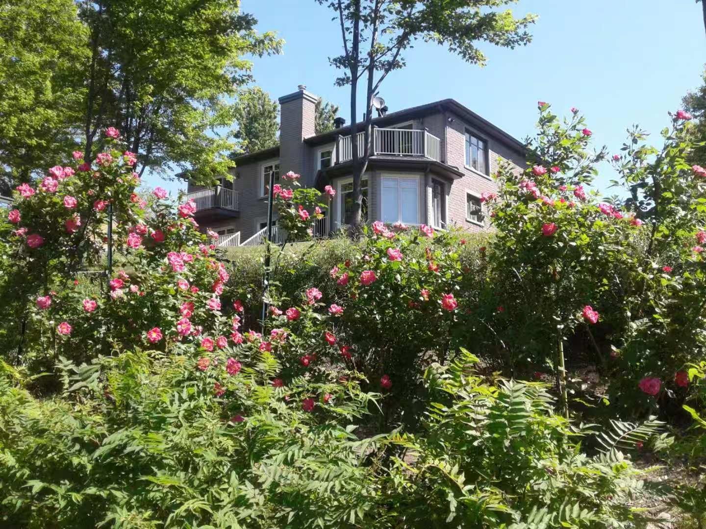 









75


Ch. de la Beauce

,
Sainte-Martine,




QC
J0S1V0

