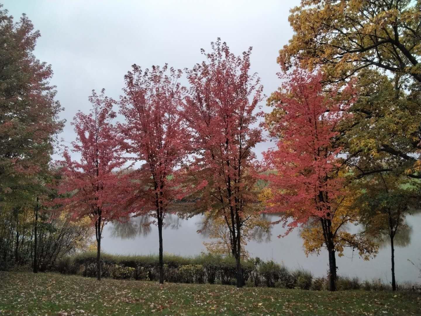 









75


Ch. de la Beauce

,
Sainte-Martine,




QC
J0S1V0

