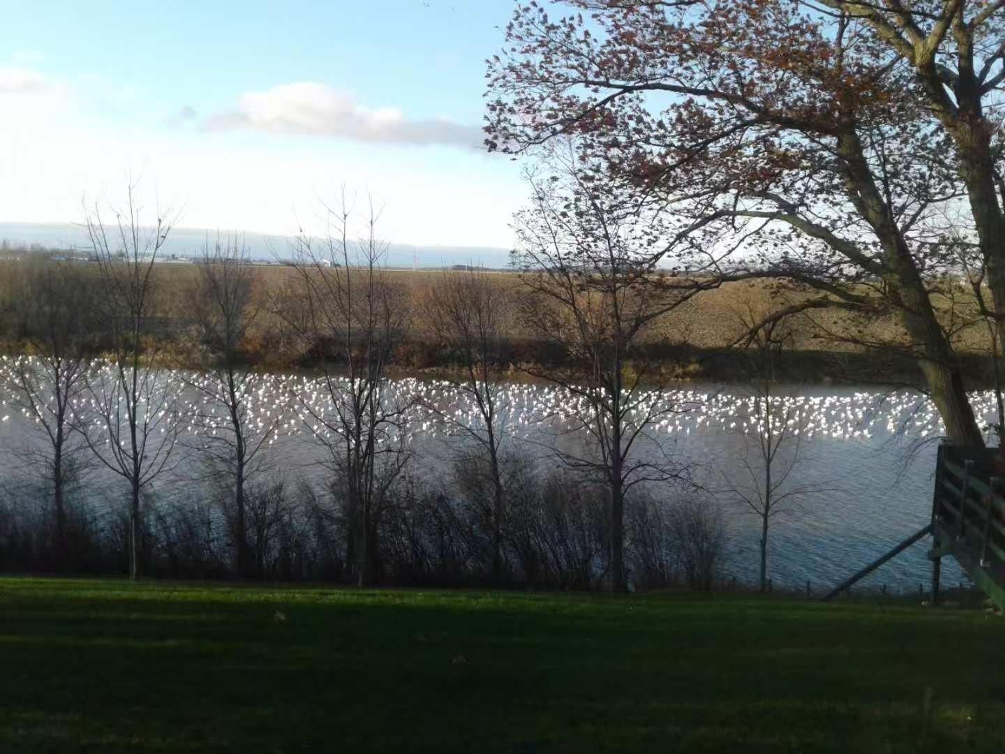 









75


Ch. de la Beauce

,
Sainte-Martine,




QC
J0S1V0

