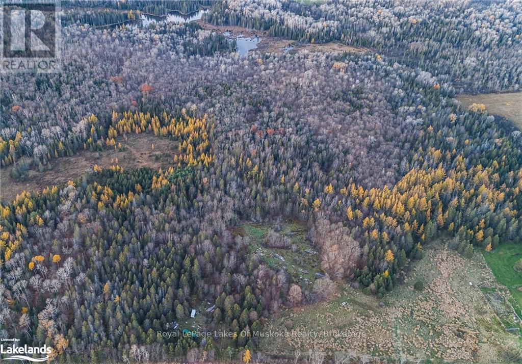 












LOT 2 HILL AND GULLY ROAD

,
Ryerson,







Ontario
P0A1C0

