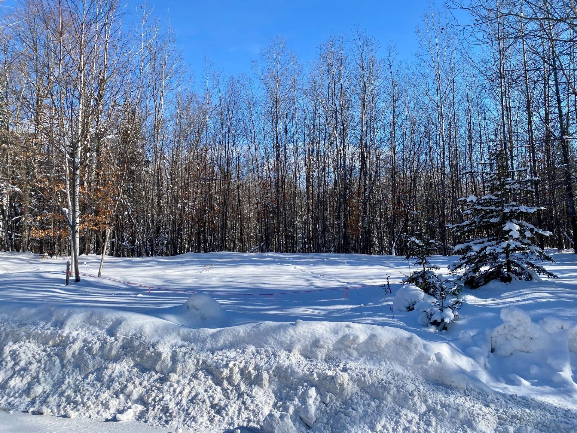 












Ch. du Lac-Boileau O.

,
Rivière-Rouge,







QC
J0T1T0

