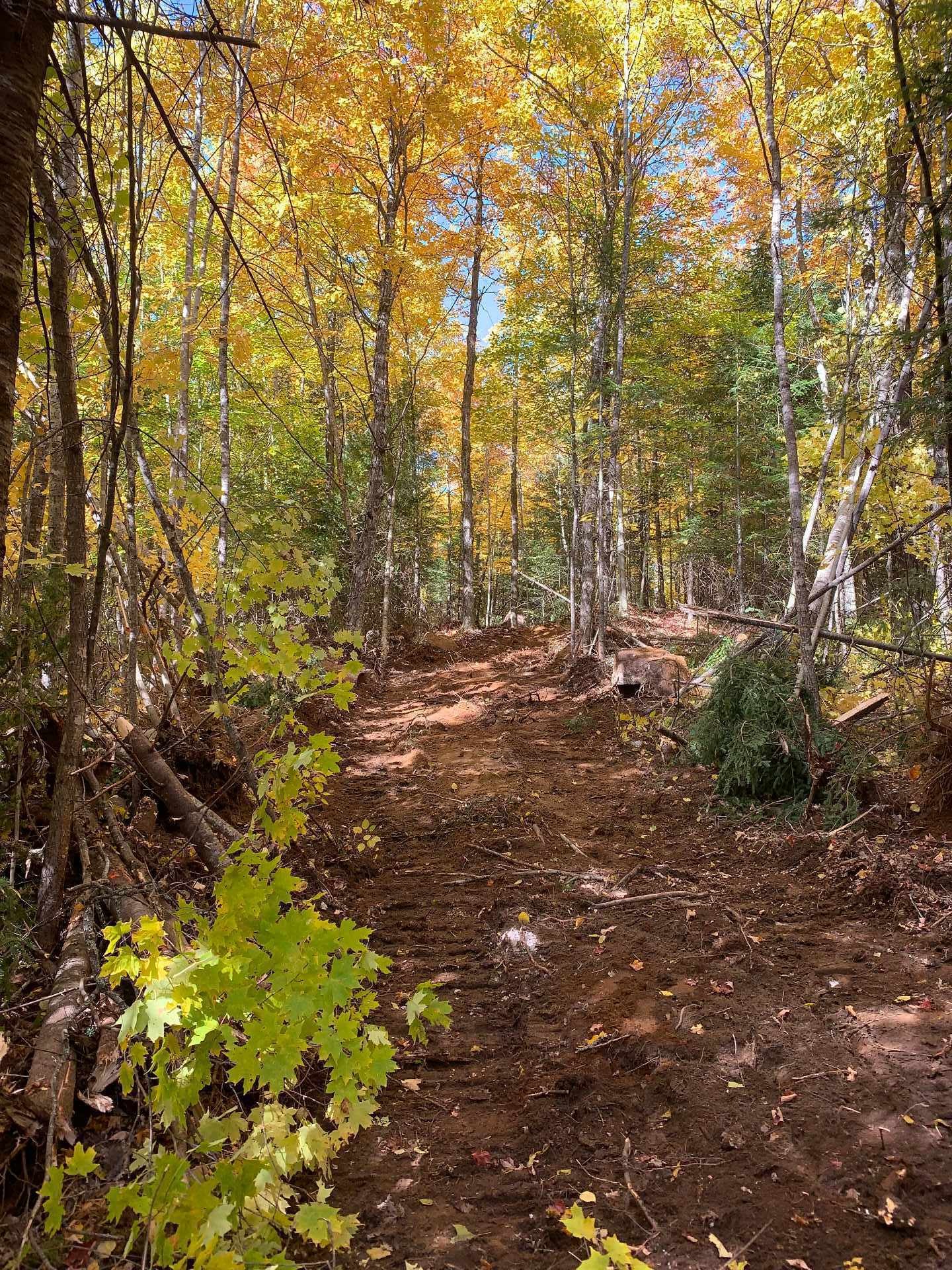 












Ch. du Lac-Boileau O.

,
Rivière-Rouge,







QC
J0T1T0

