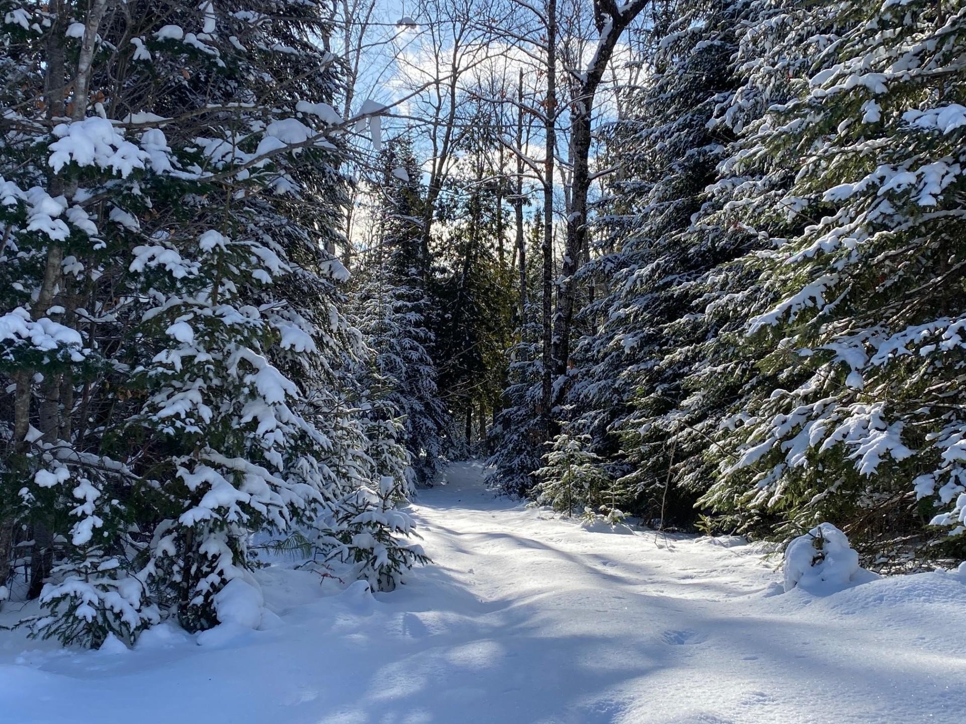 












Ch. du Lac-Boileau O.

,
Rivière-Rouge,







QC
J0T1T0

