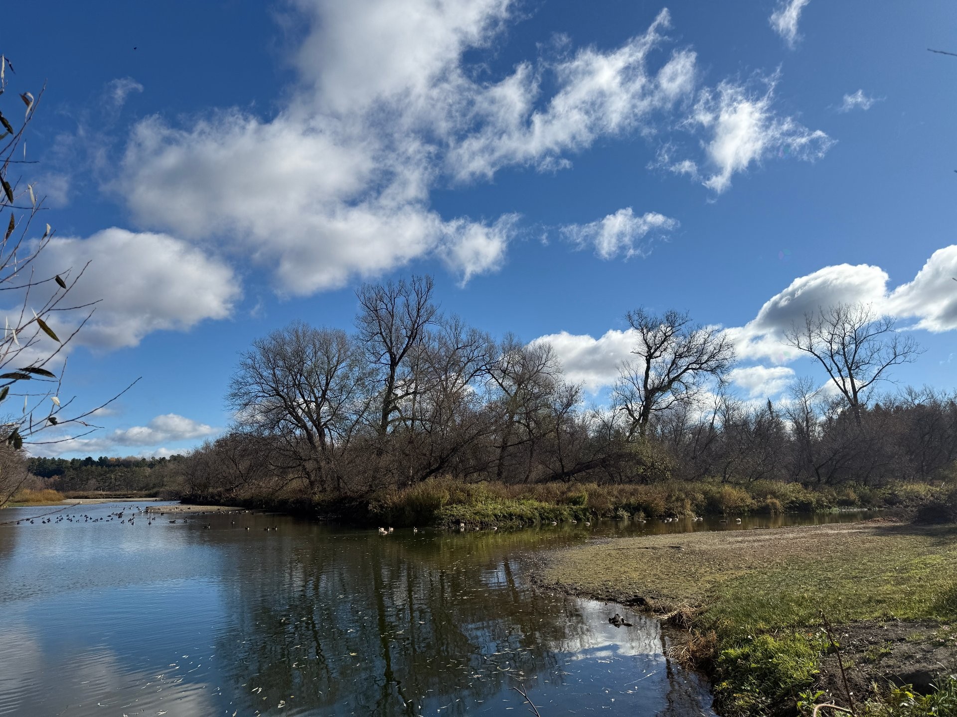 












Rue Lee-Langlois

,
Sherbrooke (Lennoxville),







QC
J0B3H0

