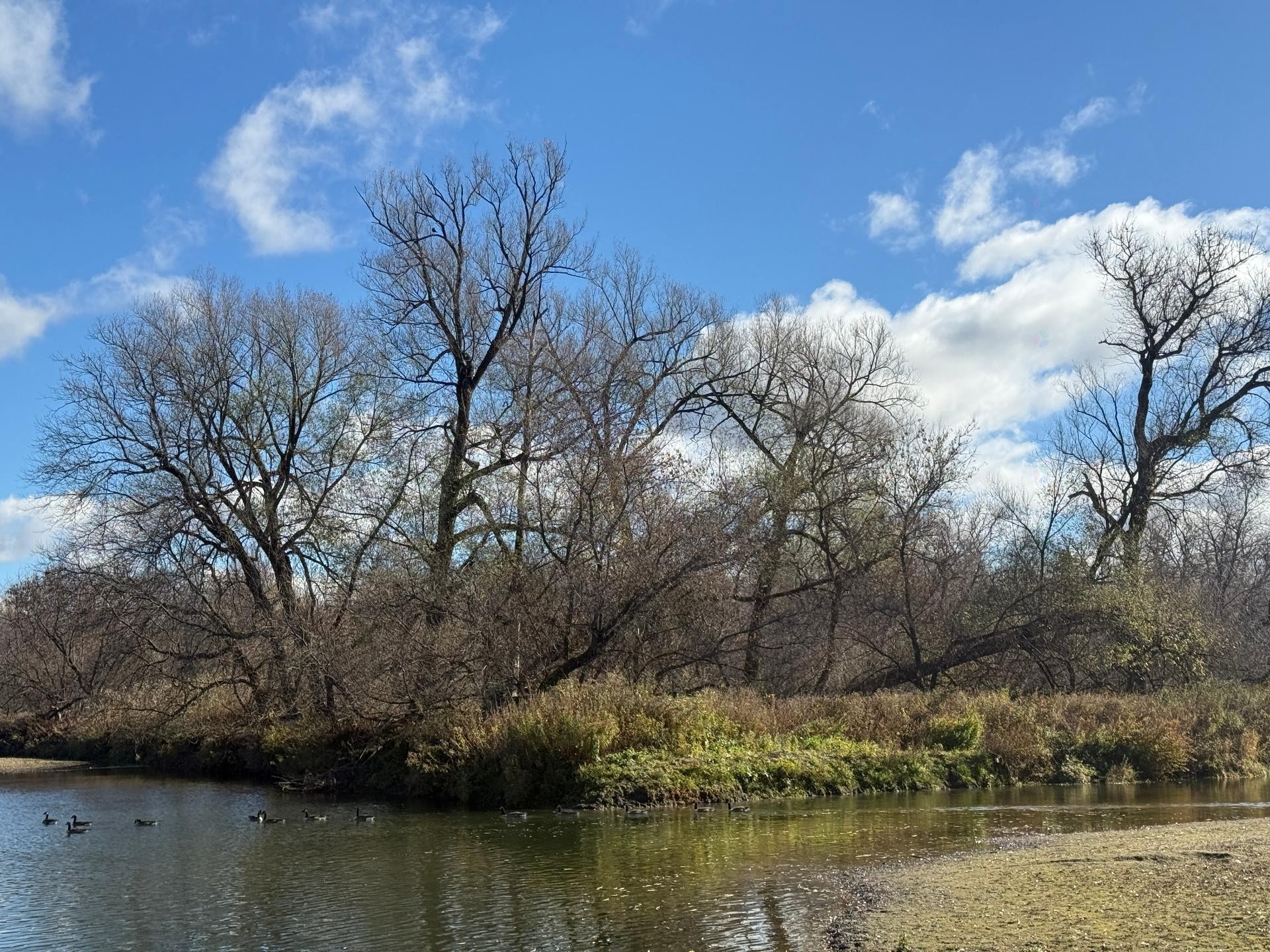 












Rue Lee-Langlois

,
Sherbrooke (Lennoxville),







QC
J0B3H0

