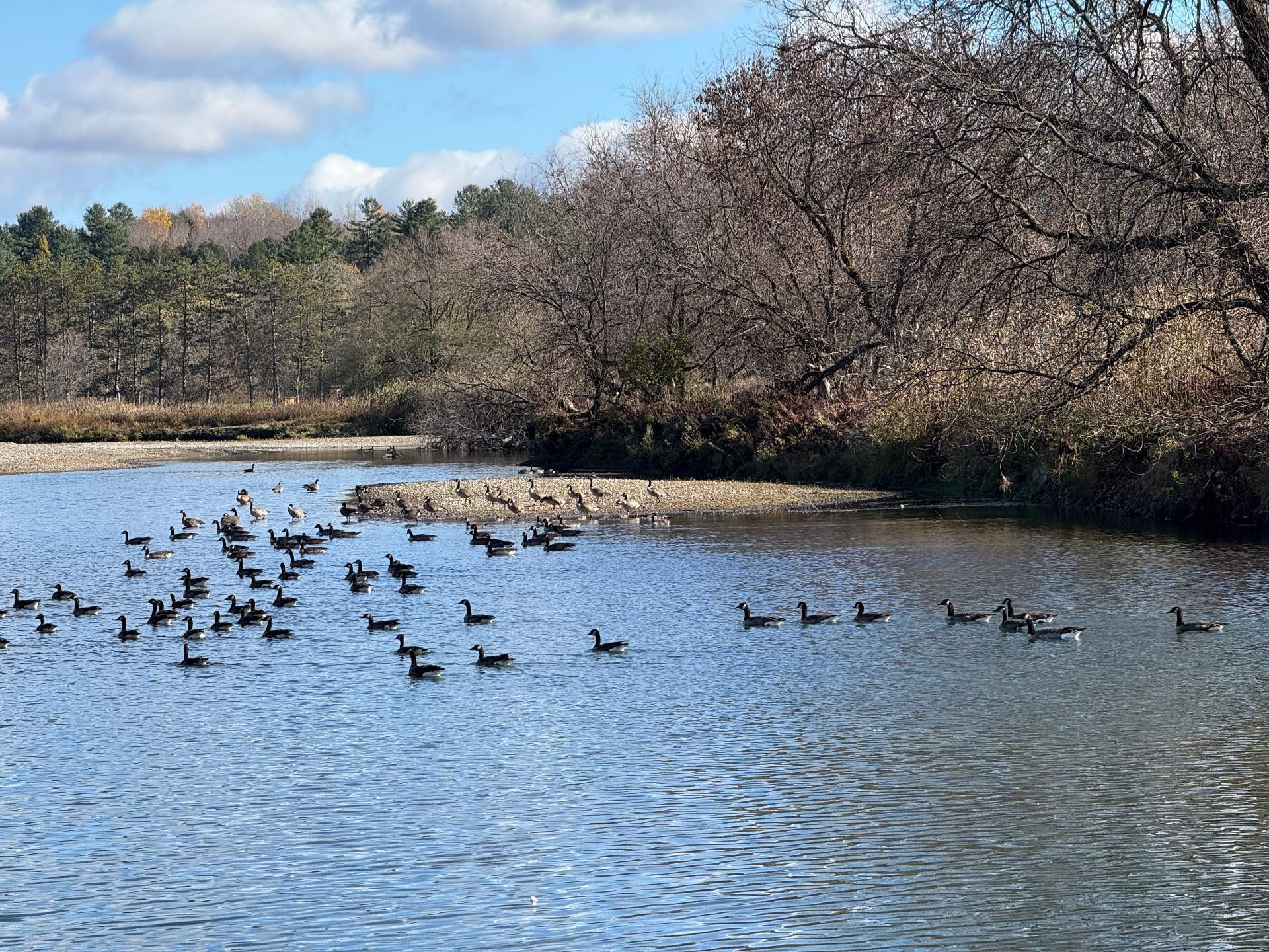 












Rue Lee-Langlois

,
Sherbrooke (Lennoxville),







QC
J0B3H0

