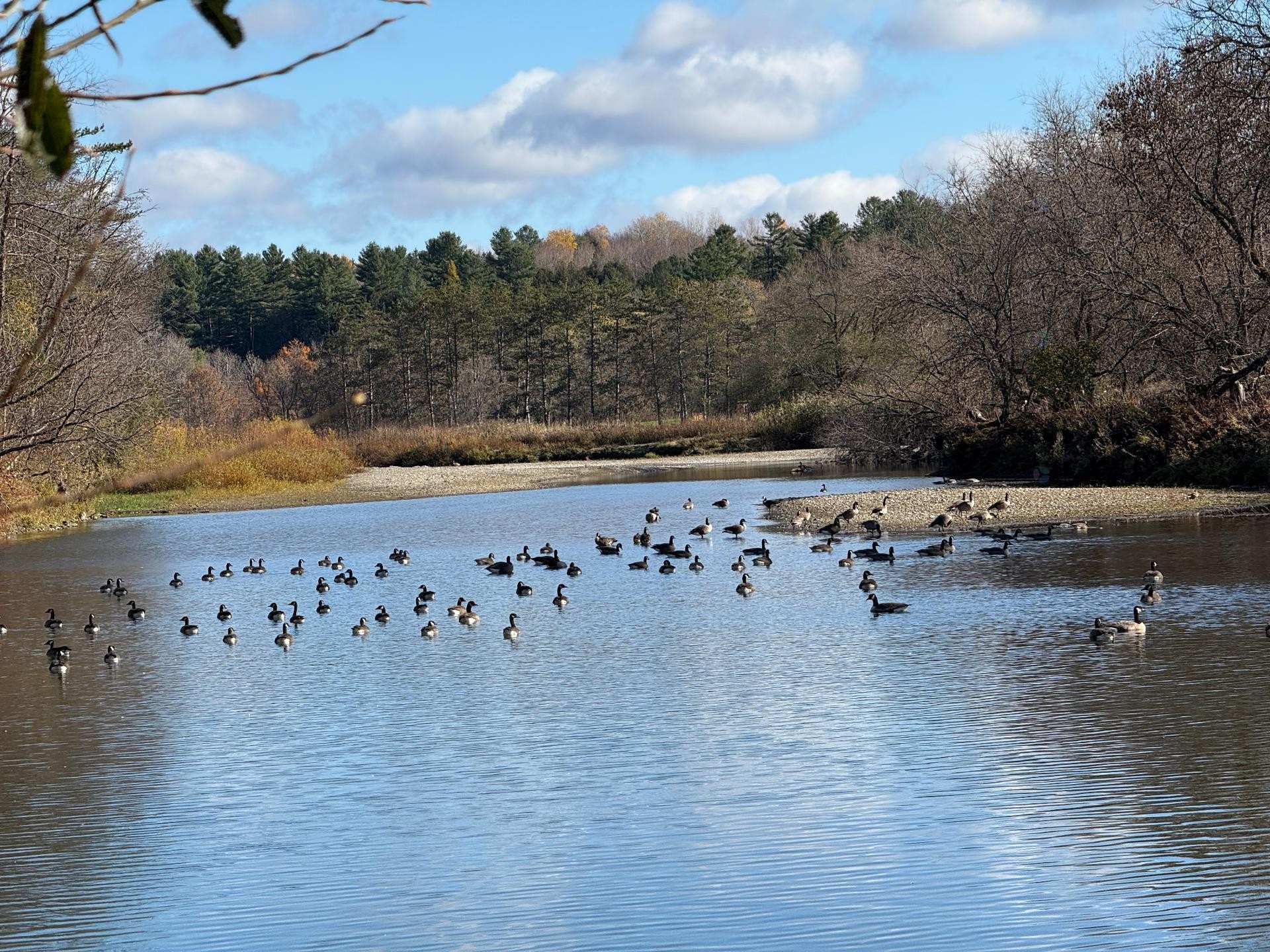 












Rue Lee-Langlois

,
Sherbrooke (Lennoxville),







QC
J0B3H0

