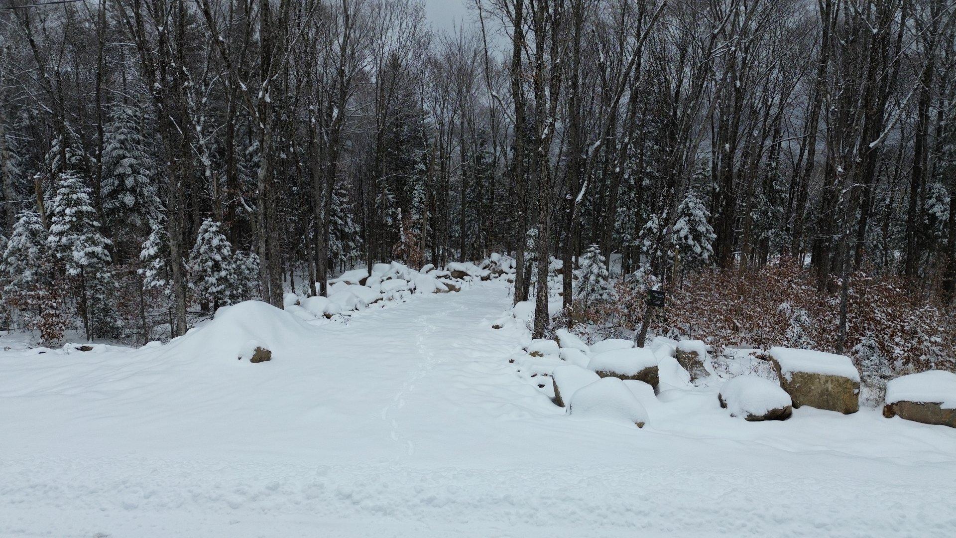 












Ch. Fusey

,
Saint-Donat,







QC
J0T2C0

