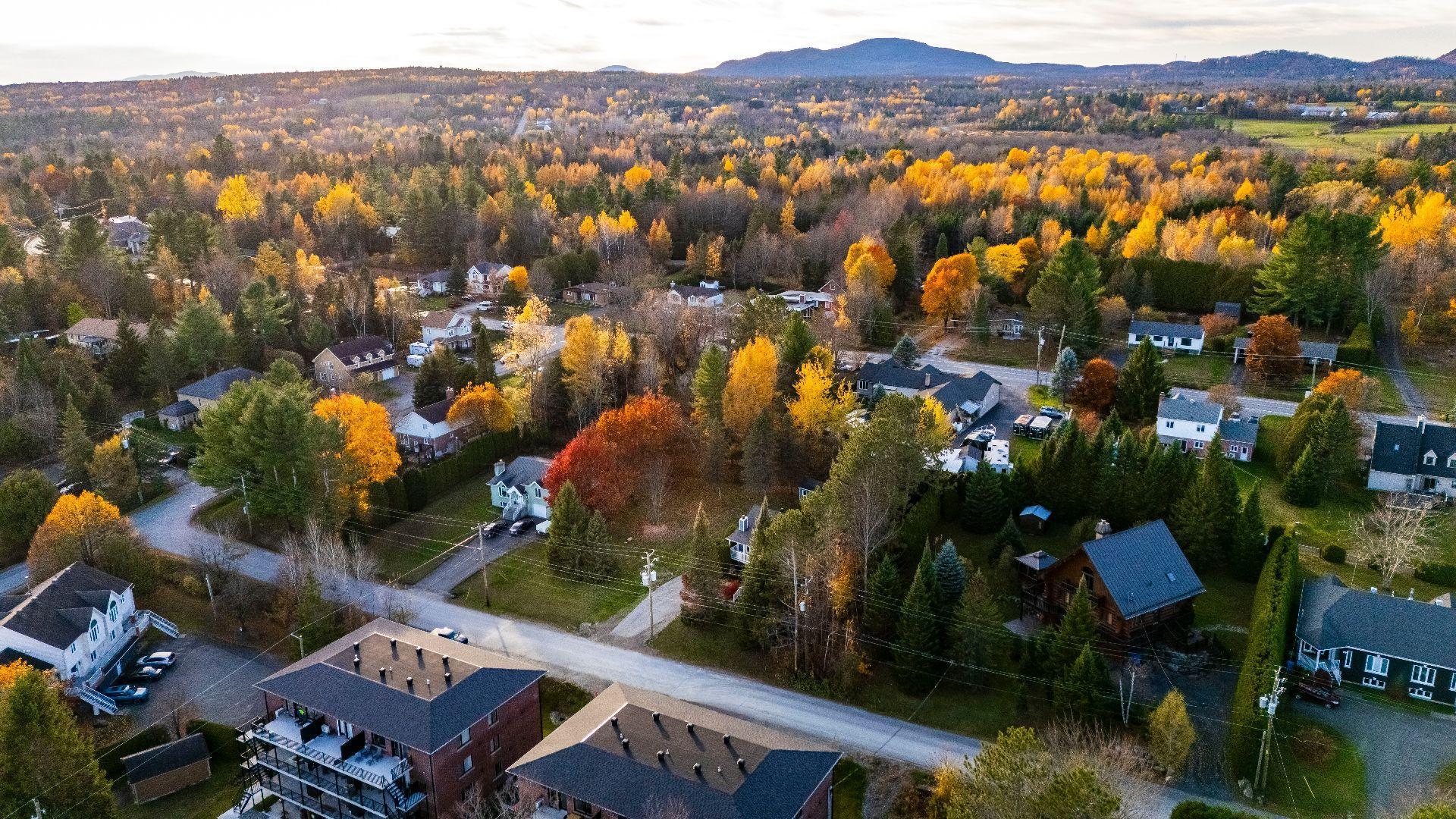 









97Z

 - 99Z


Rue Lévesque

,
Magog,




QC
J1X5T6

