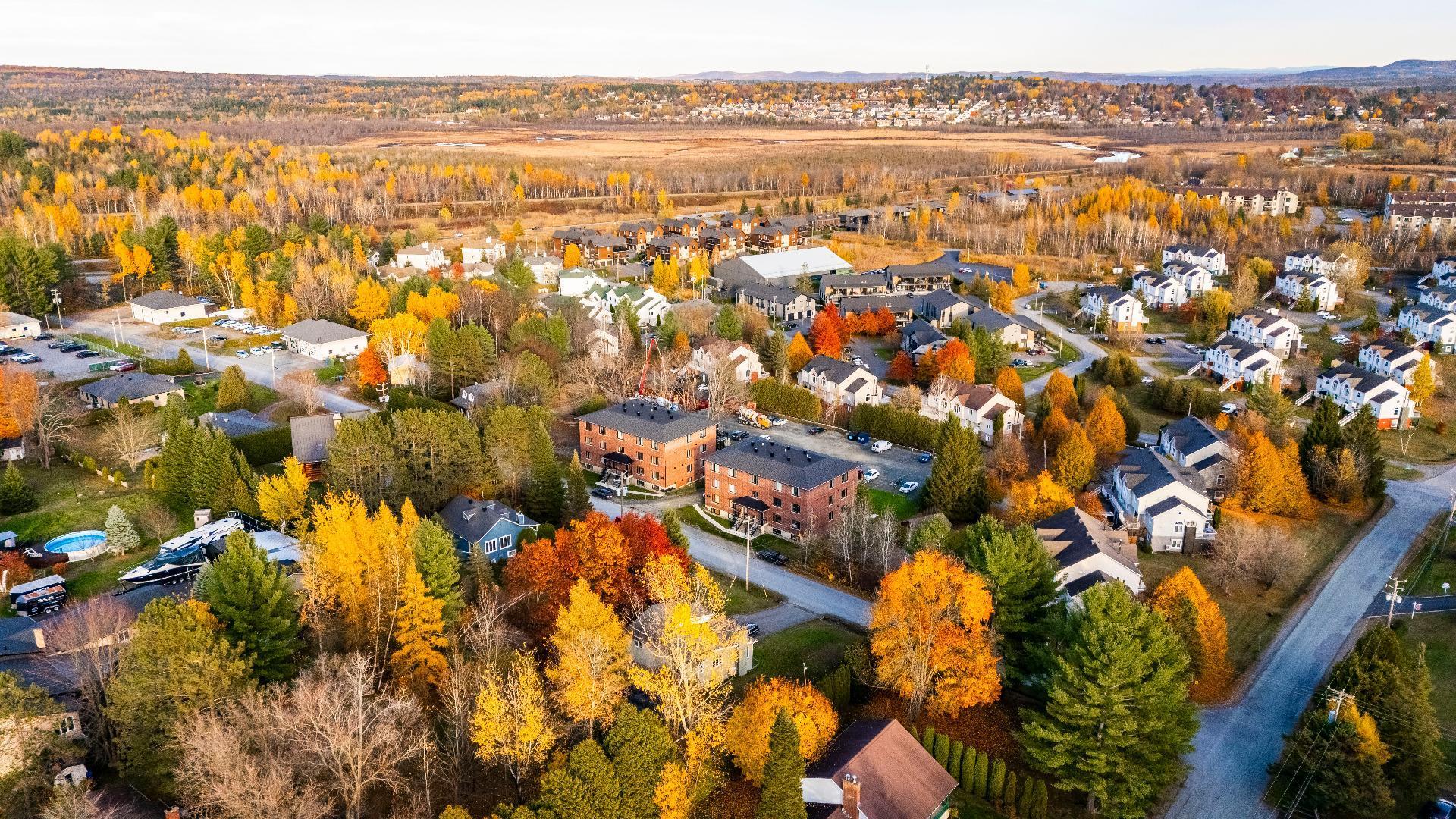 









97Z

 - 99Z


Rue Lévesque

,
Magog,




QC
J1X5T6

