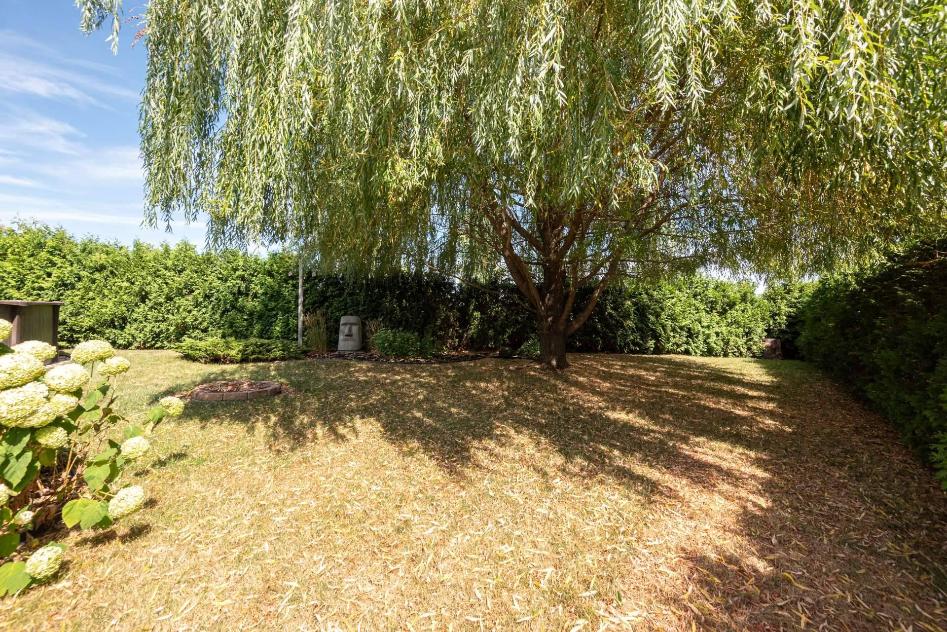 









51


Rue Anatole-Touchette

,
Saint-Jean-sur-Richelieu,




QC
J2X4L5

