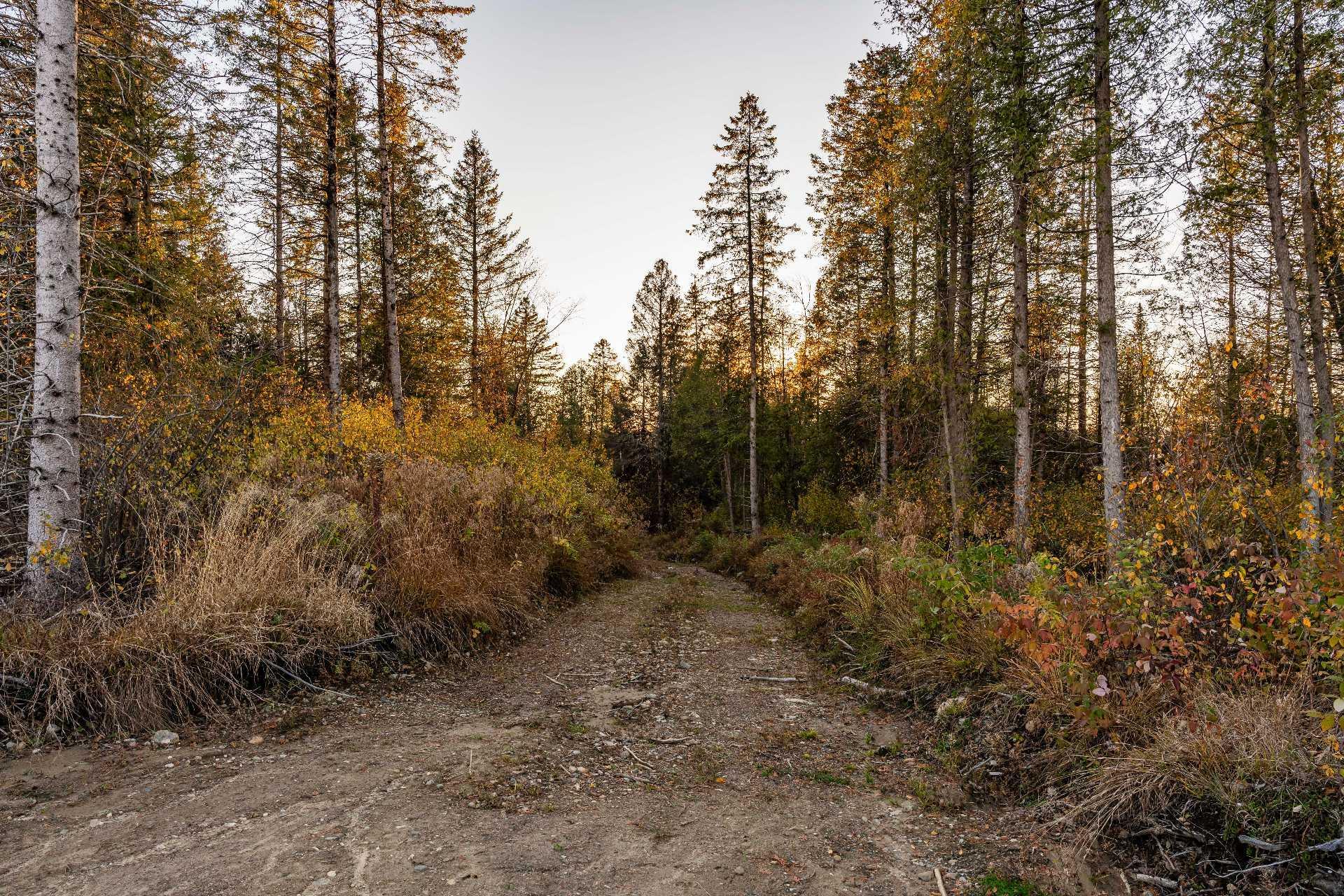 












Ch. du Lac

,
Sainte-Catherine-de-Hatley,







QC
J0B1W0

