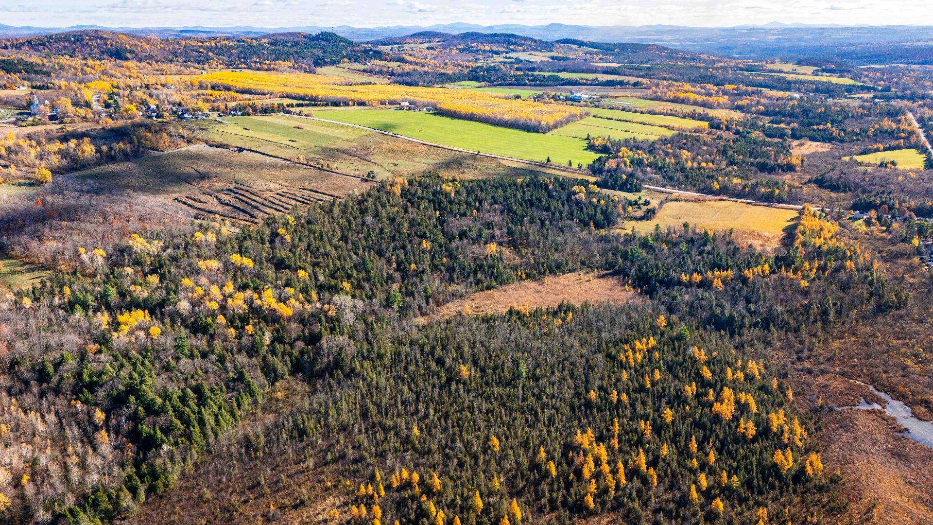 












Ch. du Lac

,
Sainte-Catherine-de-Hatley,







QC
J0B1W0


