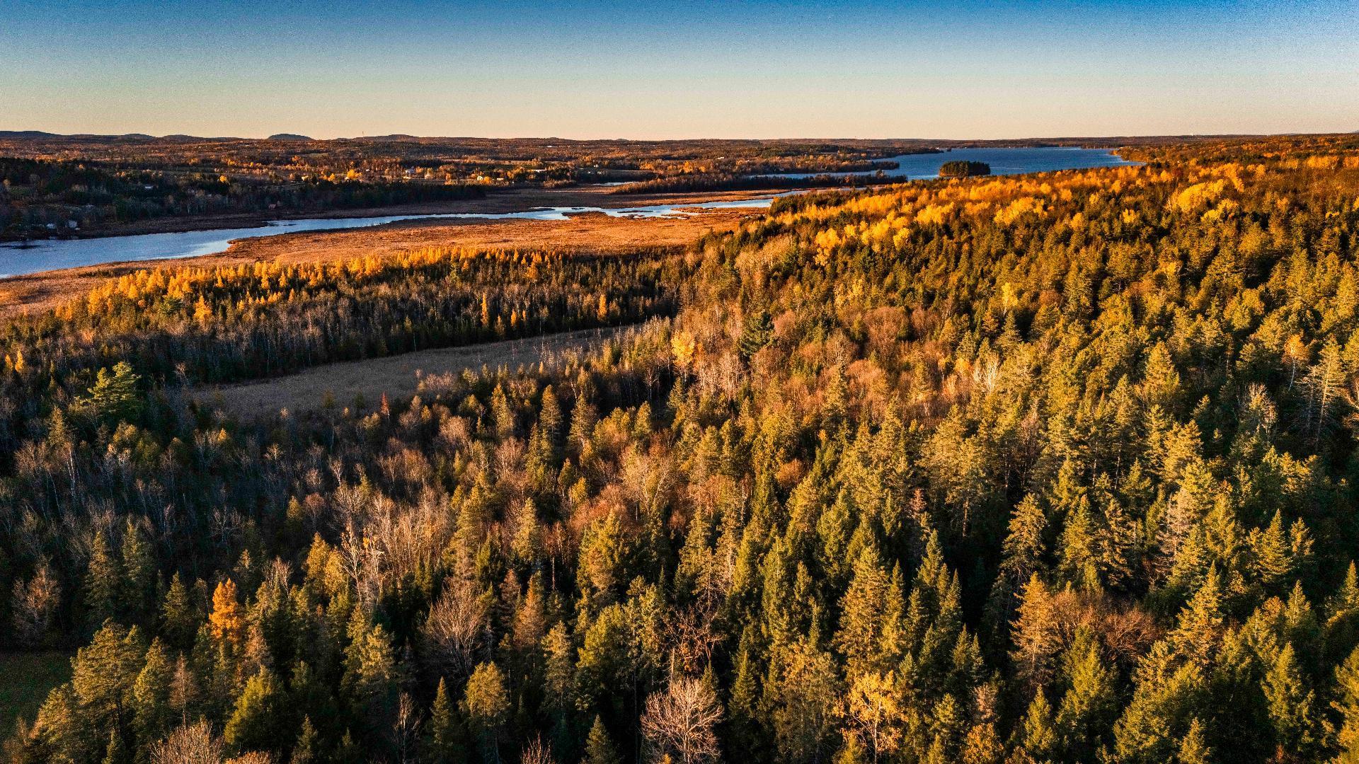 












Ch. du Lac

,
Sainte-Catherine-de-Hatley,







QC
J0B1W0

