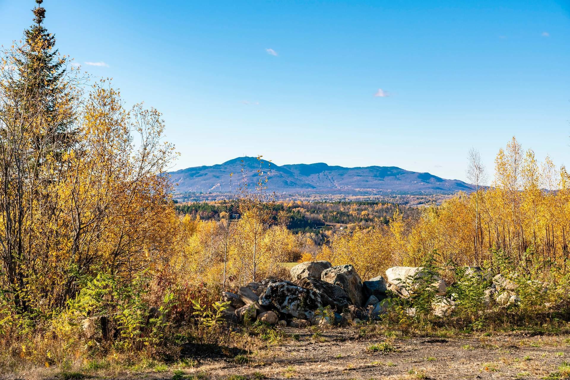 












Ch. du Lac

,
Sainte-Catherine-de-Hatley,







QC
J0B1W0

