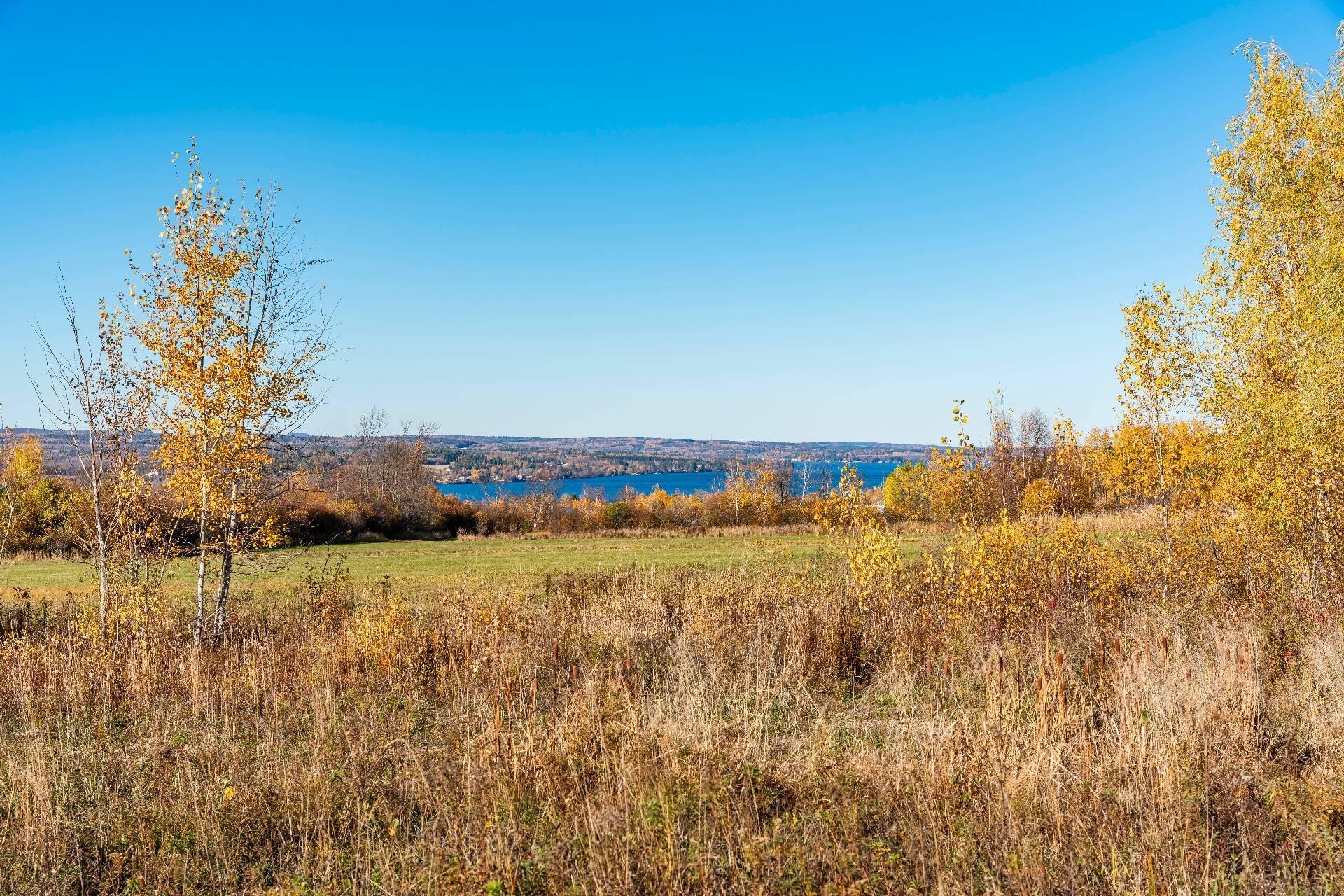 












Ch. du Lac

,
Sainte-Catherine-de-Hatley,







QC
J0B1W0

